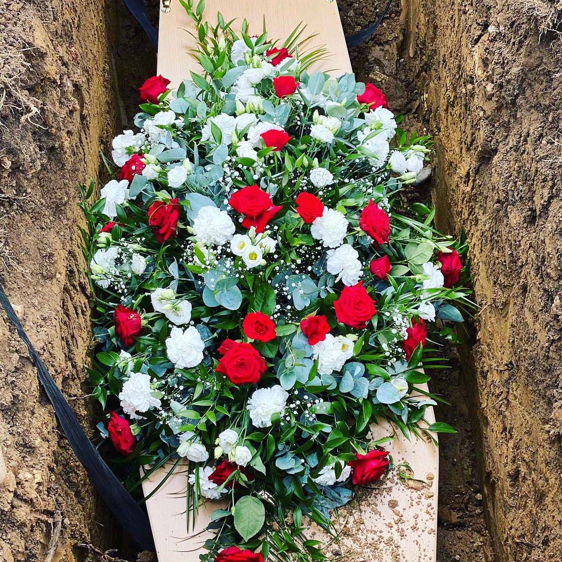 70F6EFB5-4ED0-4B5B-9560-8A269500B461k